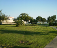 Webber International University Campus